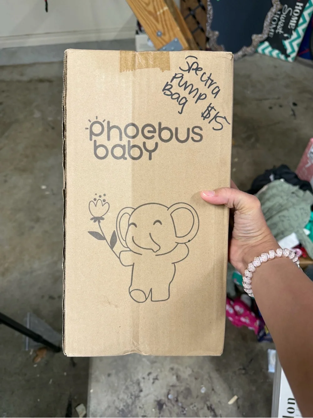 Spectra Travel Case-Phoebus Baby